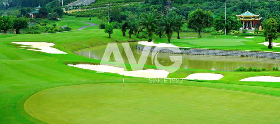 Cỏ nhân tạo sân golf