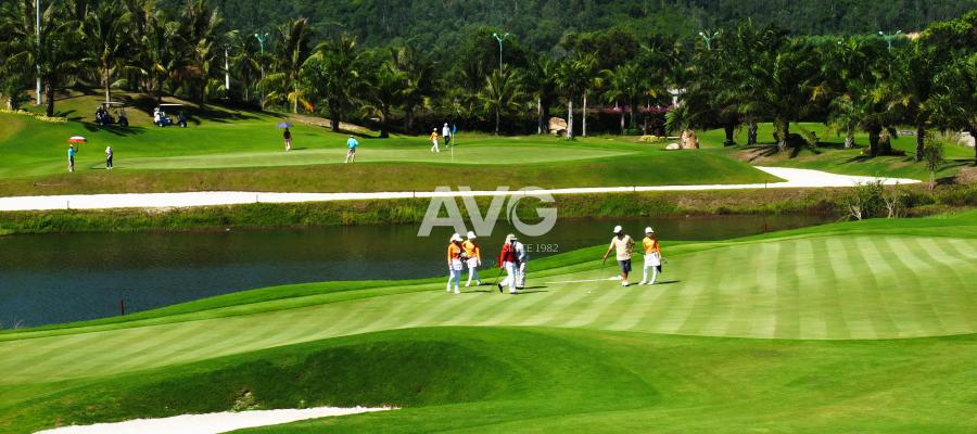 Cỏ nhân tạo sân golf