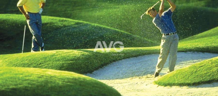 Cỏ nhân tạo sân golf