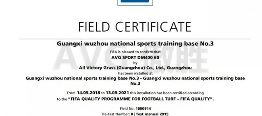 Dự án sân bóng FIFA 