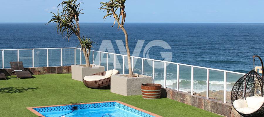 Cỏ trang trí bể bơi(Nam Phi)