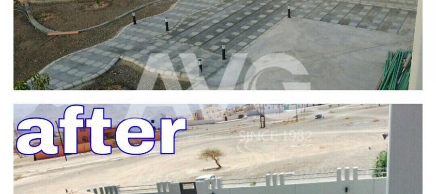 Cỏ trang trí sân vườn