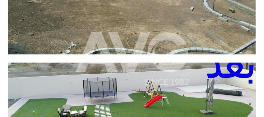 Cỏ trang trí sân vườn