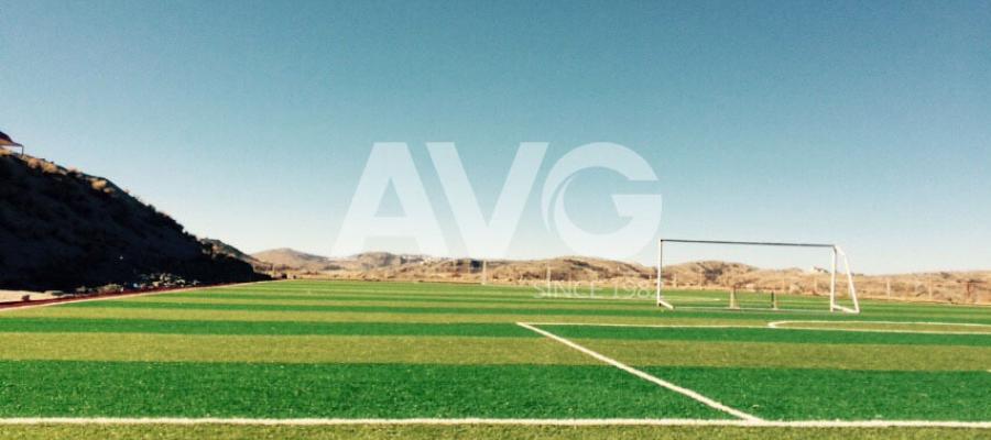 Dự án sân bóng tại Mỹ