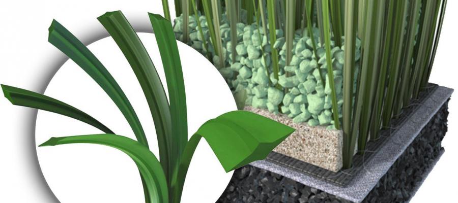 Dự án sân bóng đạt chuẩn FIFA mới tại trường Quốc tế  The Bay Academy 