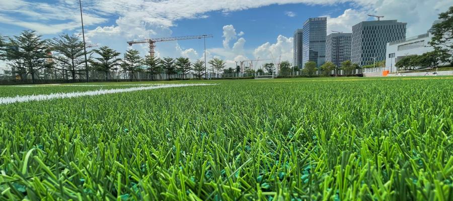 Dự án sân bóng đạt chuẩn FIFA mới tại trường Quốc tế  The Bay Academy 