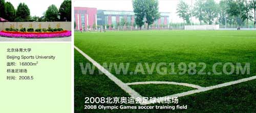 Sân cỏ nhân tạo