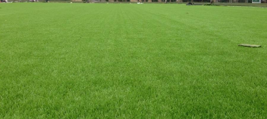 Dự án sân bóng đá cỏ nhân tạo tiêu biểu của AVG tại Việt Nam