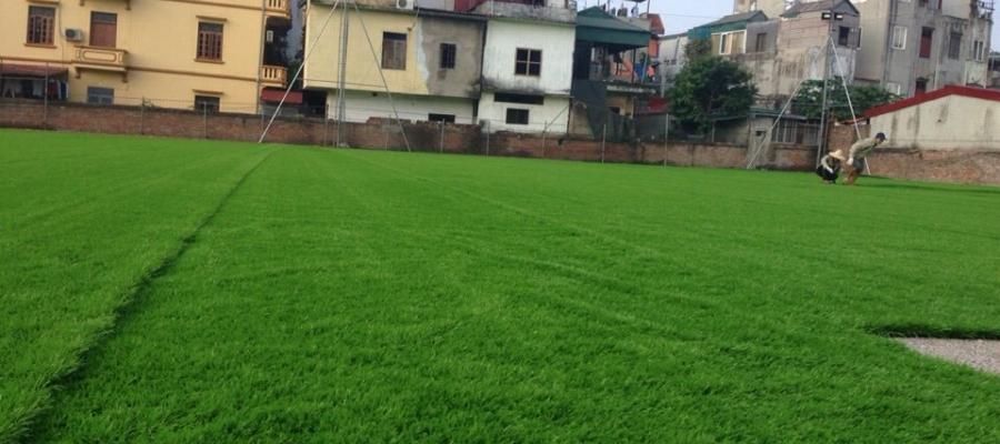 Dự án sân bóng đá cỏ nhân tạo tiêu biểu của AVG tại Việt Nam