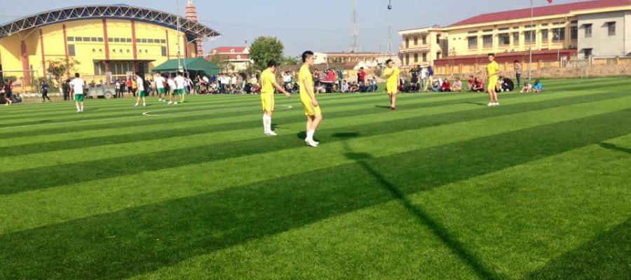 Dự án sân bóng đá cỏ nhân tạo tiêu biểu của AVG tại Việt Nam