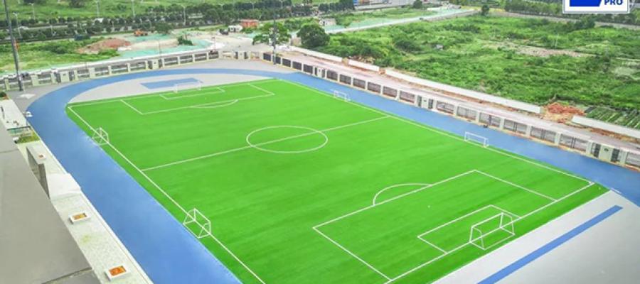 cỏ nhân tạo AVG, đế dệt thảm không tráng keo, AVG DM400