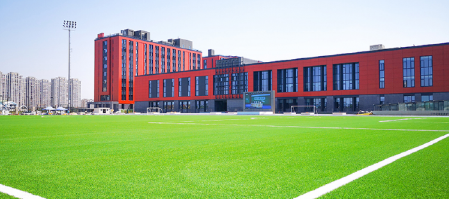 cỏ nhân tạo AVG, đế dệt thảm không tráng keo, AVG DM400