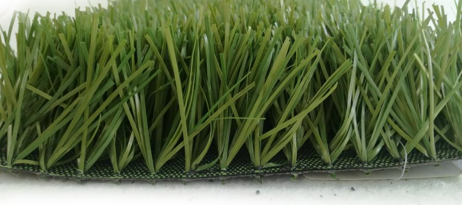 Dòng cỏ Stem 3D-130