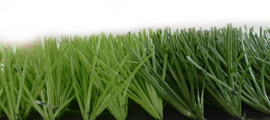 Dòng cỏ Diamond 80
