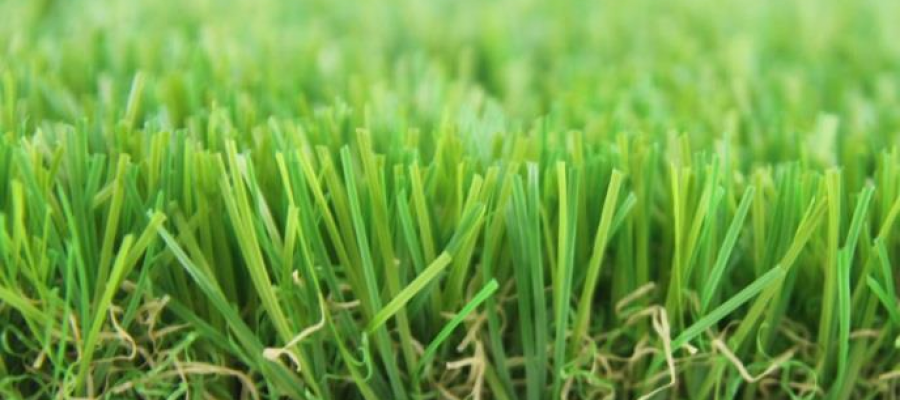 Dòng cỏ Stem Eco 115