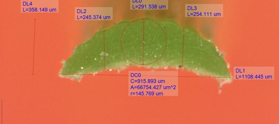 Dòng cỏ FIFA AVG-CS130