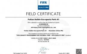 Thêm 3 cụm sân bóng mới của AVG giành được chứng chỉ FIFA Thêm 3 cụm sân bóng mới của AVG giành được chứng chỉ FIFA