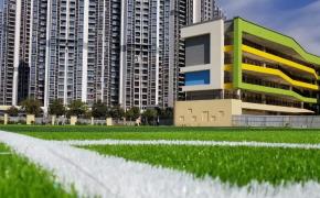Những yếu tố quyết định giá của cỏ nhân tạo Những yếu tố quyết định giá của cỏ nhân tạo