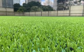 cỏ nhân tạo AVG, AVG Since 1982 cỏ nhân tạo AVG, AVG Since 1982