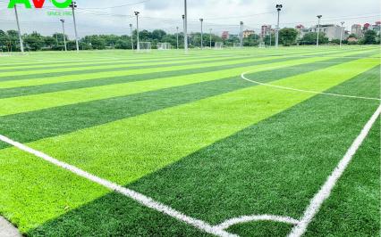 Dự án cụm sân bóng ven đê 4 Long Biên, Hà Nội