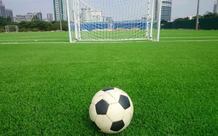 Dự án sân bóng đá cỏ nhân tạo tiêu biểu của AVG tại Việt Nam