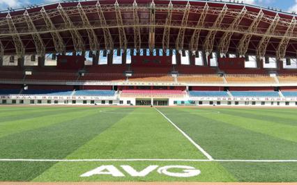 AVG, FIFA, AVG Grass, cỏ nhân tạo AVG