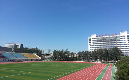 Làm thế nào để nâng cao trải nghiệm thể thao trên sân cỏ nhân tạo?