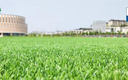 Quy trình thi công sân bóng cỏ nhân tạo đạt tiêu chuẩn FIFA (Phần 1)