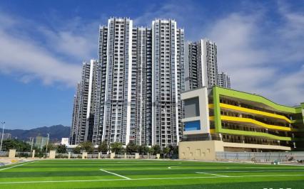 Những yếu tố quan trọng khi lựa chọn nhà cung cấp cỏ nhân tạo