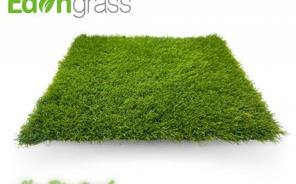 cỏ nhân tạo AVG, AVG Since 1982