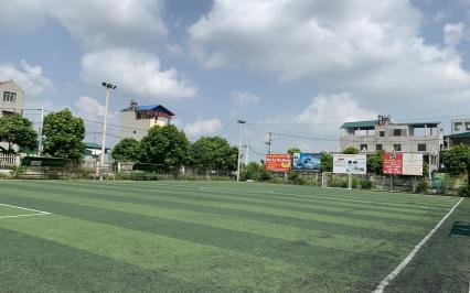 Những yếu tố ảnh hưởng đến khả năng chống chịu mài mòn của cỏ nhân tạo